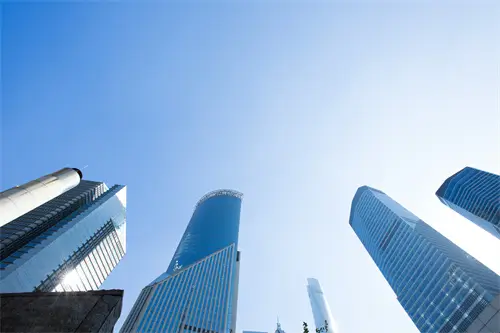 猛虎蔷薇含义大全